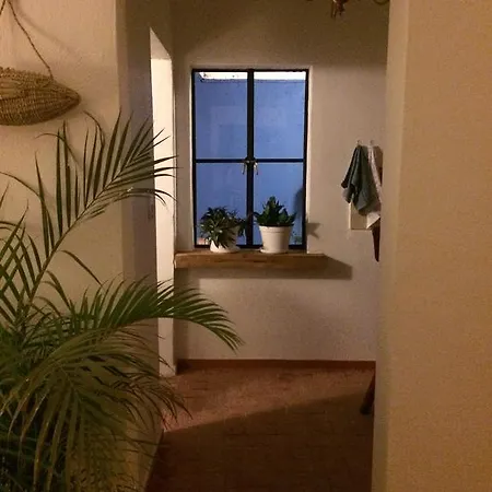Casa Molcajete Apartment Mexico City Room photo