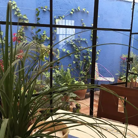 Casa Molcajete Apartment Mexico City Exterior photo